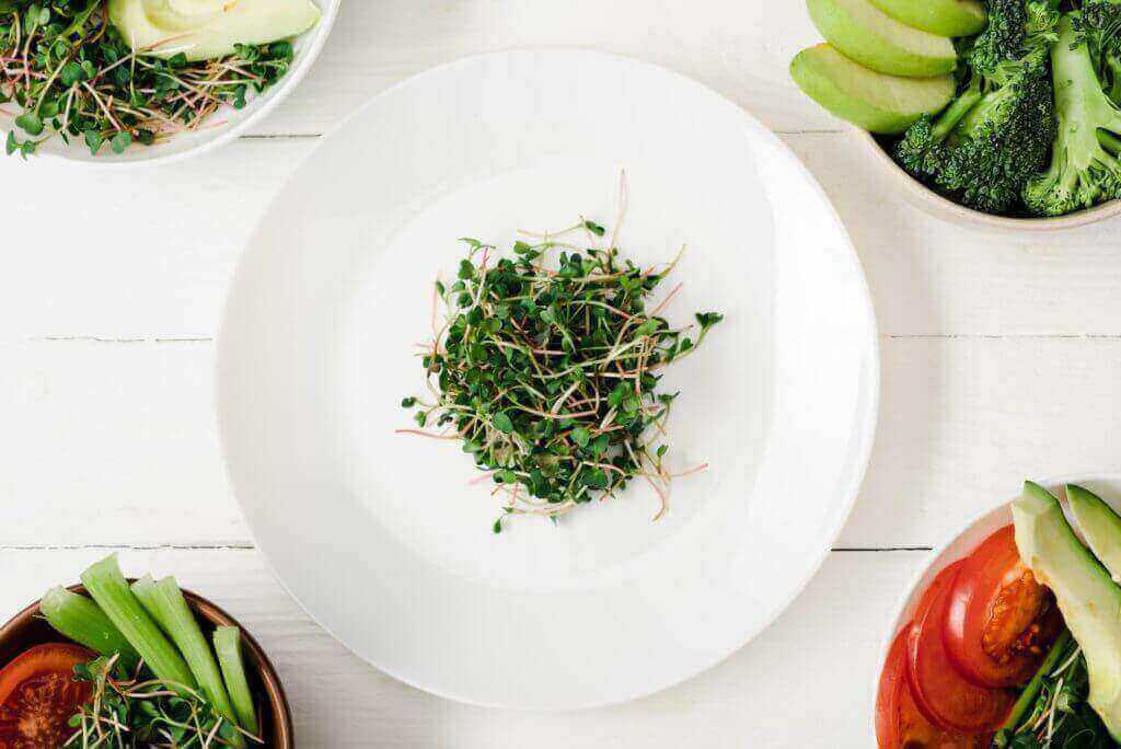 plate of broccoli sprouts