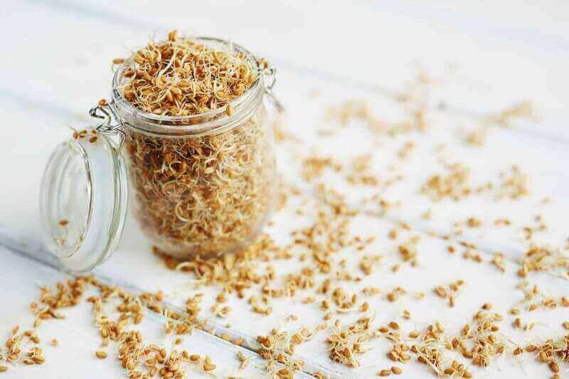 How To Make Your Own Sprouting Jar