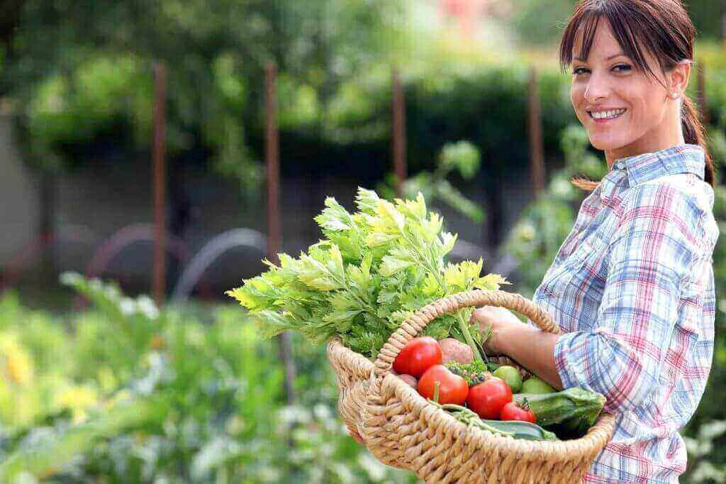 grow vegetables at home
