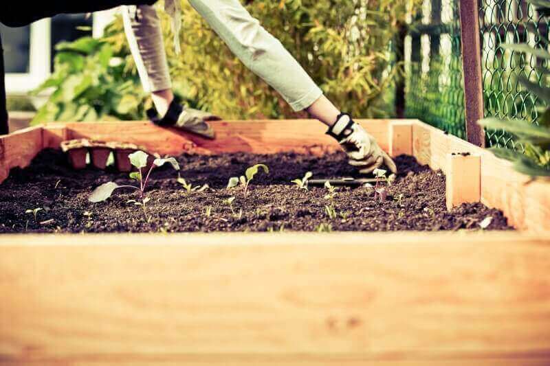 A Raised Bed Garden Planner: Why it’s Important