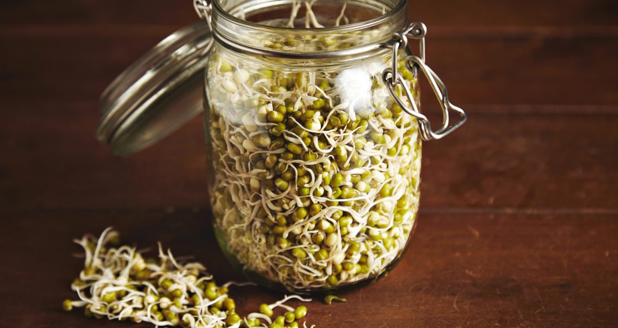 how to grow bean sprouts in a jar