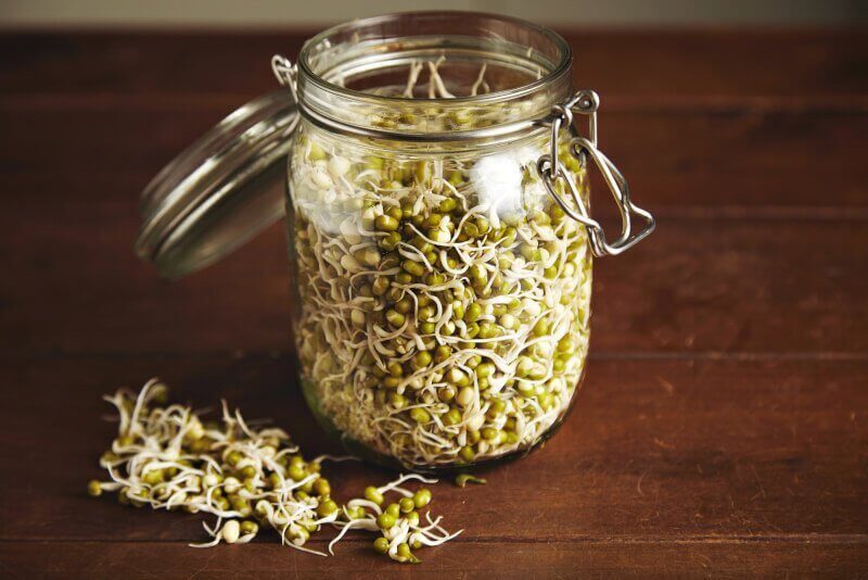 how to grow bean sprouts in a jar