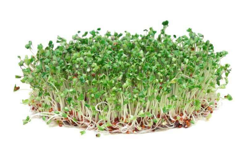Sulforaphane benefits:  How Broccoli Sprouts Can Make You Healthier