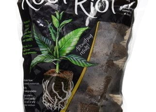 root riot