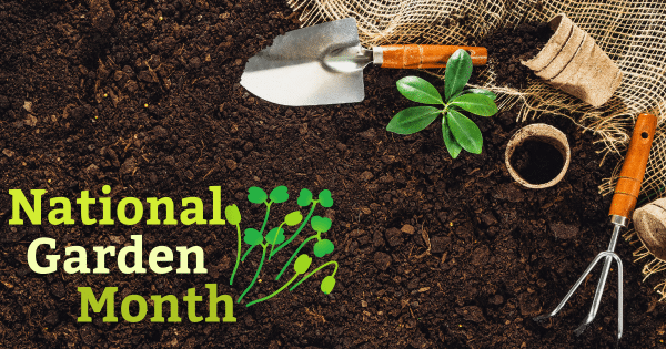 Plant a Garden, Grow Your Health