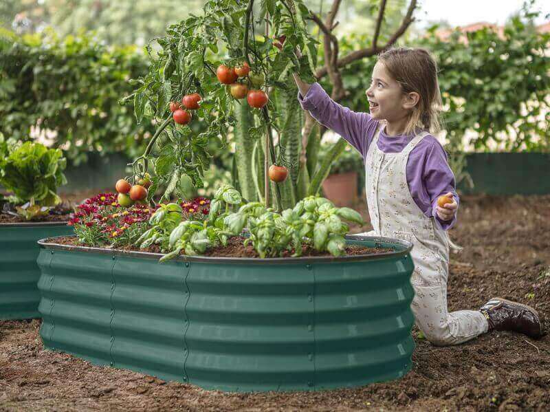 Galvanized Raised Garden Beds Outdoor // 4×2×1 ft Planter Raised Beds for Gardening, Vegetables, Flowers // Large Metal Garden Box (Silver) // Patent Pending Tool-Free Assembly