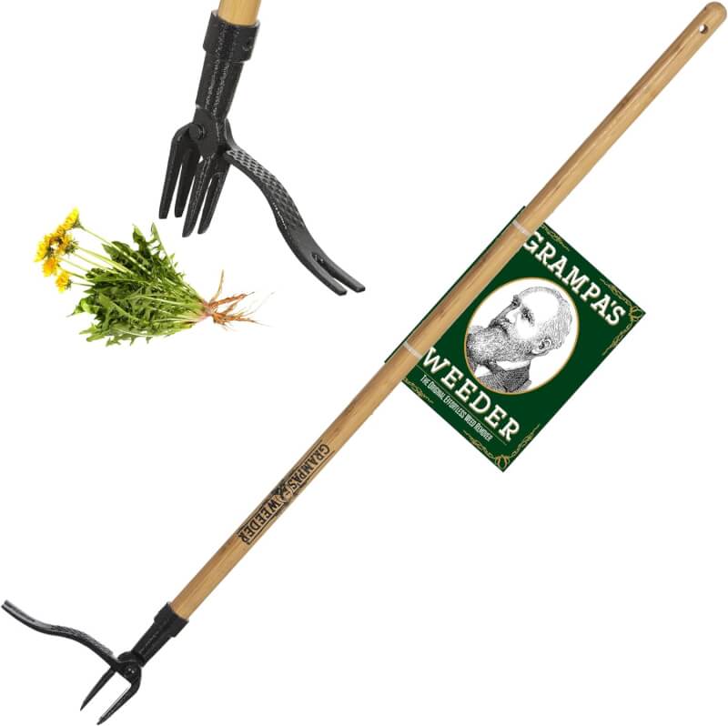 Grampas Weeder - The Original Stand Up Weed Puller Tool with Long Handle - Made with Real Bamboo  4-Claw Steel Head Design - Easily Remove Weeds Without Bending, Pulling, or Kneeling