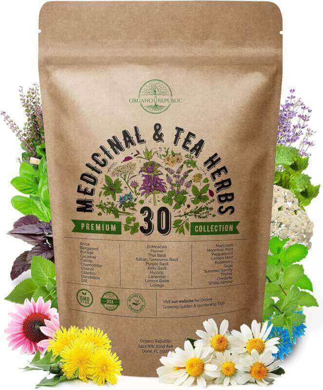 Organo Republic 30 Medicinal  Tea Herb Seeds Variety Pack for Indoor  Outdoors. 7000+ Non-GMO Heirloom Garden Seeds: Anise, Bergamot, Borage, Cilantro, Chamomile, Dandelion, Rosemary Seeds