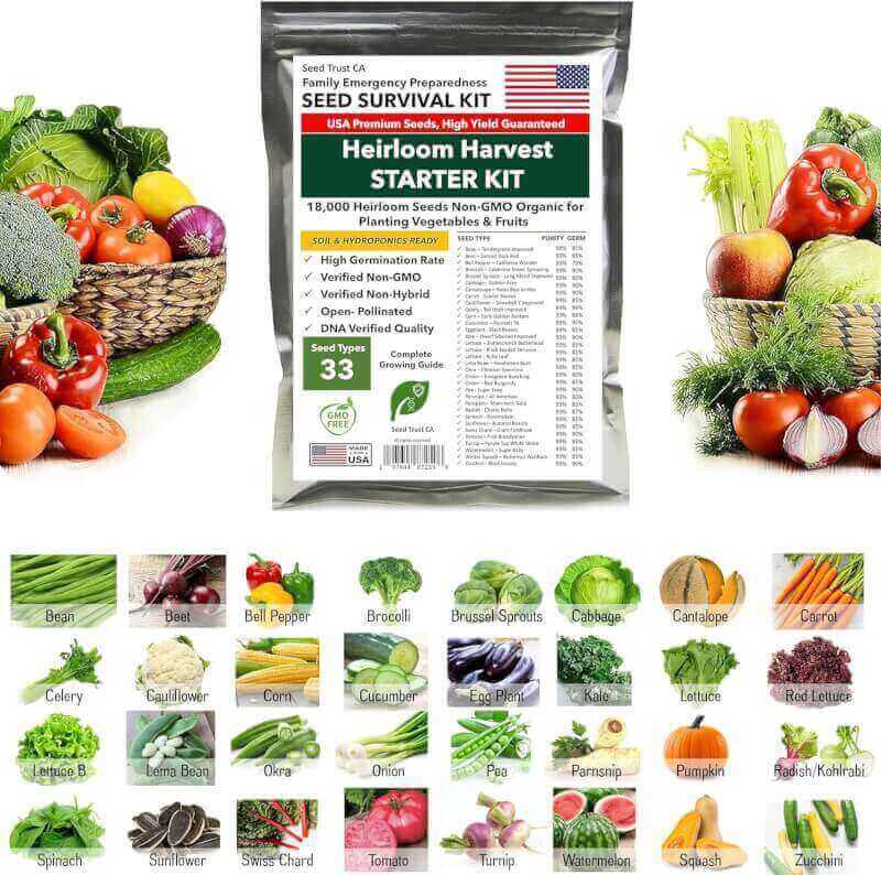 SeedTrust CA 18,000 Heirloom Seeds Non-GMO Organic for Planting Vegetables  Fruits (33 Variety Pack) - Gardening Seed Starter Kit, Survival Gear Food, Gardening Gifts, Emergency Supplies – USA