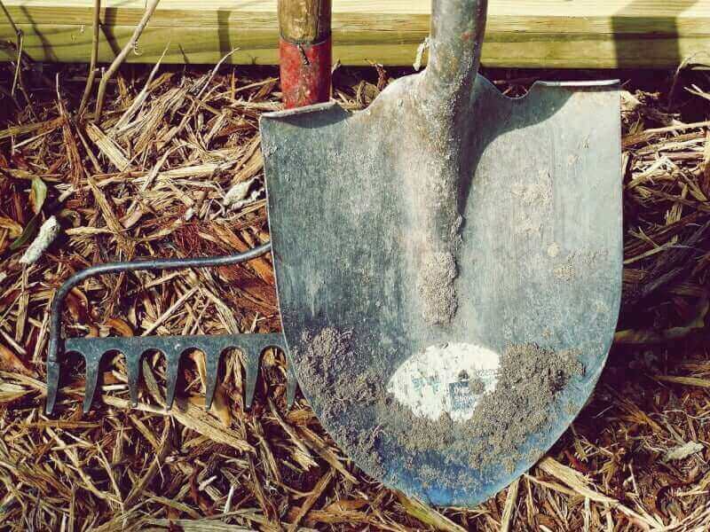 What Are The Essential Tools For Gardening?