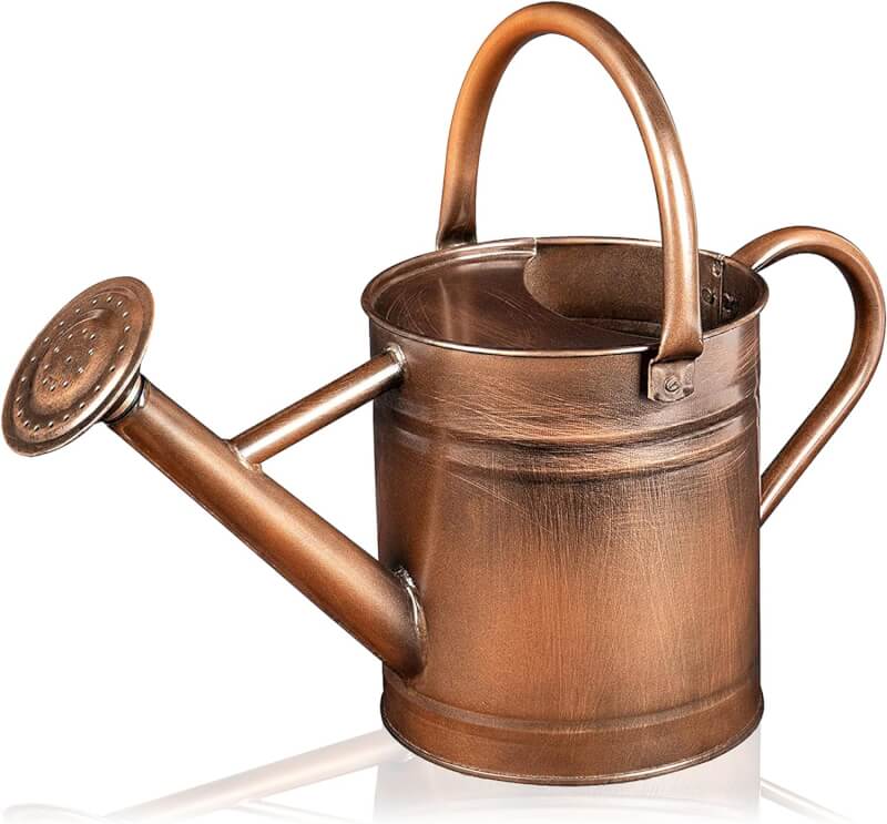 Homarden Metal Watering Can - 81 oz Copper Watering Can with Removable Spout - Galvanized Indoor Watering Can - Bonsai Watering Can for Outdoor - Decorative Small Watering Cans for House Plants
