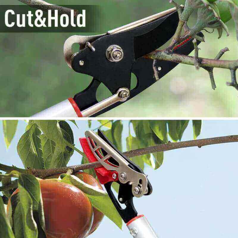 Altdorff Cut and Hold Pruner Set, Lightweight 32-Inch Long Reach Pruner One-Handed Operation, Hold Long Reach Cut Rotating, 8.3 Hand Pruner for Branch Pruning, Fruit Picking, Prickly Plants  Roses