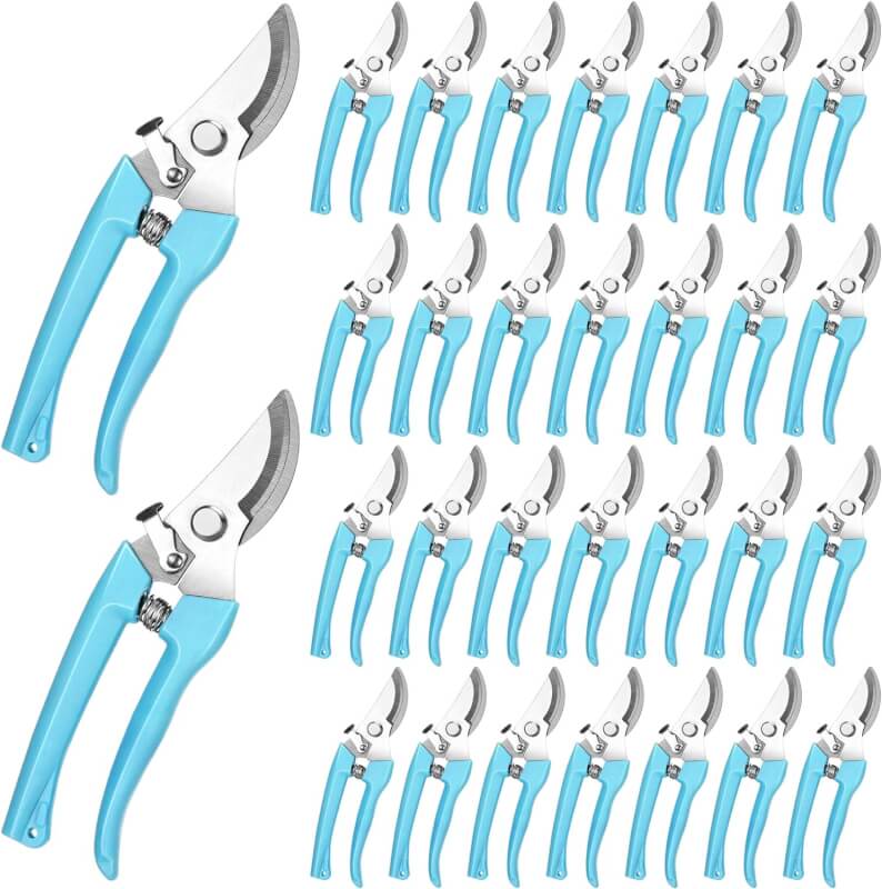 Chumia 30 Pcs Garden Flower Shears Pruning Scissors Heavy Duty Plant Scissors Trimming Garden Clippers Hand Tree Pruner for Yard Gardening Plants Hedge Flower Tree Cutting Secateurs (Blue,Bypass)