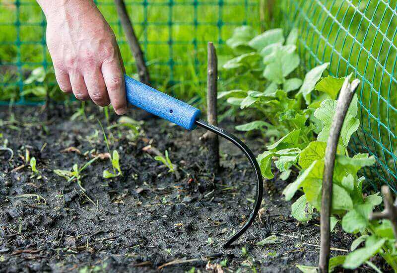 CobraHead® Original Weeder  Cultivator Garden Hand Tool - Forged Steel Blade - Recycled Plastic Handle - Ergonomically Designed for Digging, Edging  Planting - Gardeners Love Our Most Versatile Tool