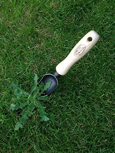 Dewit Snake Tongue Trowel, Garden Tool for Roots and Planting