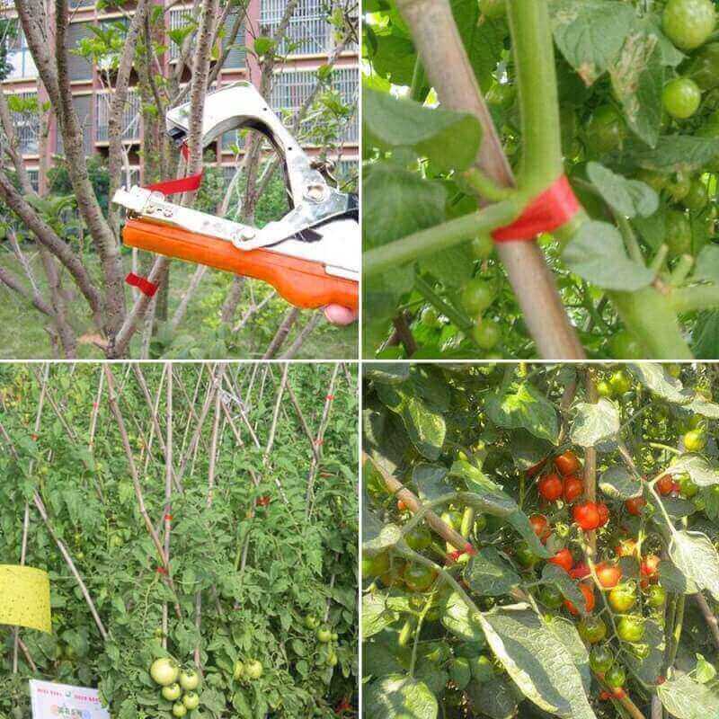 DrRobor Plant Tying Machine Tomato Tape Tool with 21 Rolls of Tape and 1 Box of Staple for Garden Vegetable Grape Cucumber Pepper