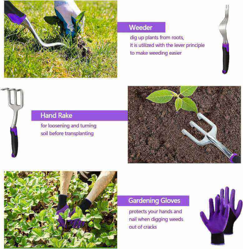 EAONE Garden Tools Set 105Pcs, Gardening Kit Includes Heavy Duty Aluminum Gardening Hand Tool, Kneeling Pad, Succulent Tools with Garden Tote Bag, Gardening Gift for Women Men and Plant Lover(Purple)