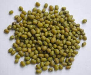 Mung Beans Health Benefits for Pregnancy