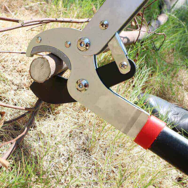 GARTOL Anvil Lopper with Compound Action 29 Inch Heavy Duty Tree Branch Cutter, 2 inch Cutting Capacity Tree Trimmer, with Ergonomically Designed Non-Slip Handles