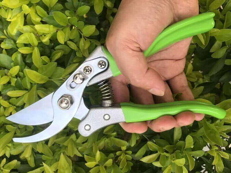 pruning shears with japanese sk4 steel blades review