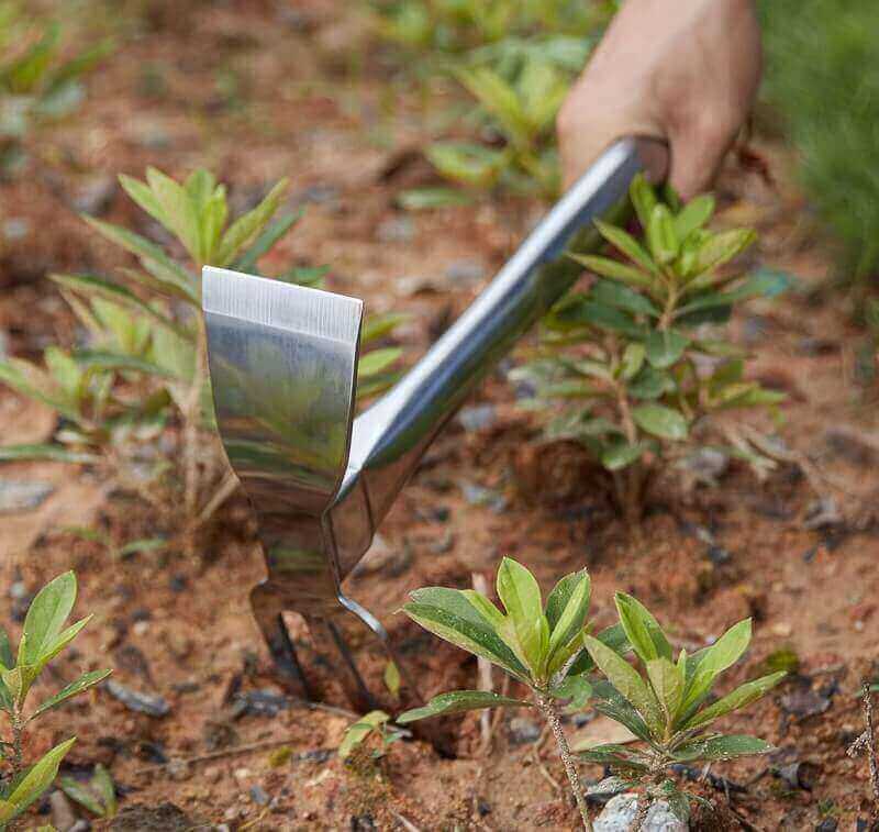 Sharp Sturdy 416 Stainless Steel rake Hoe, Heavy Duty Hoe Hand Tool for transplanting Digging Planting Loose Camping or Exploration