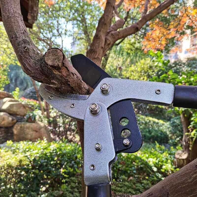 YRTSH Loppers Branch Cutter Tree Trimmer Extendable Lopper with Compound Action, Chop Thick Branches Effortlessly, 28-41 Telescopic Heavy Duty Tree Clippers with 2 Inch Clean Cut Capacity