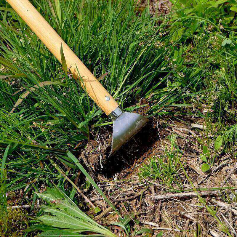 Garden Hoe Long Handle 43 Heavy Duty Japanese Stainless Steel, Made in JAPAN, Draw Hoe Weeding Tool, Stand Up Weeder Hand Tool
