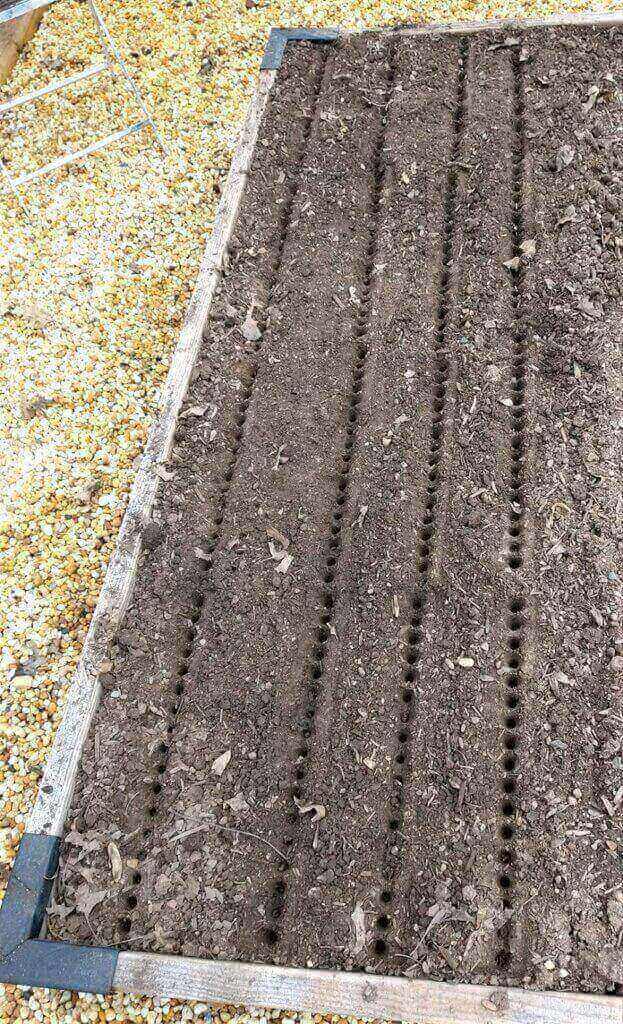 gardinnovations seed in soil digger and soil spacer for planting seeds 3