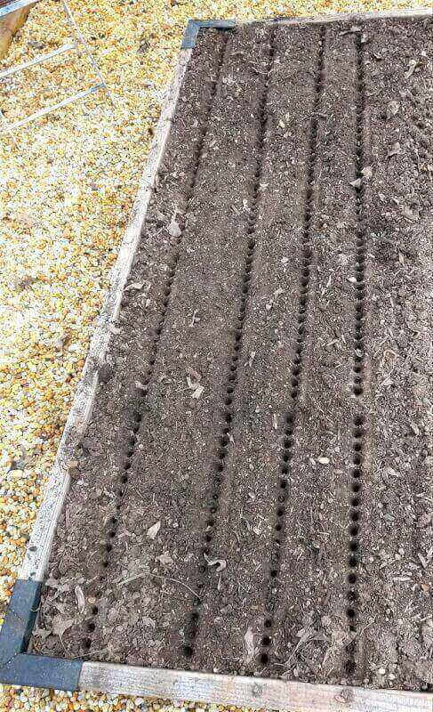 Gardinnovations Seed-in Soil Digger and Soil Spacer for Planting Seeds