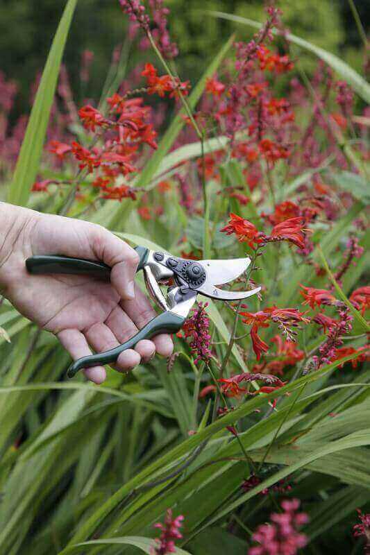 spear jackson 6459kew kew gardens collection left handed bypass pruners review