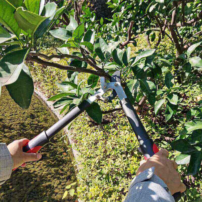 YRTSH Lopper Heavy Duty Branch Cutter Tree Clippers with Compound Action, Chops Thick Branch Ease, Garden Loppers Pruning, 18 Inch Tree Trimmer with 1.6” Clean Cut Capacity (18 Inch)