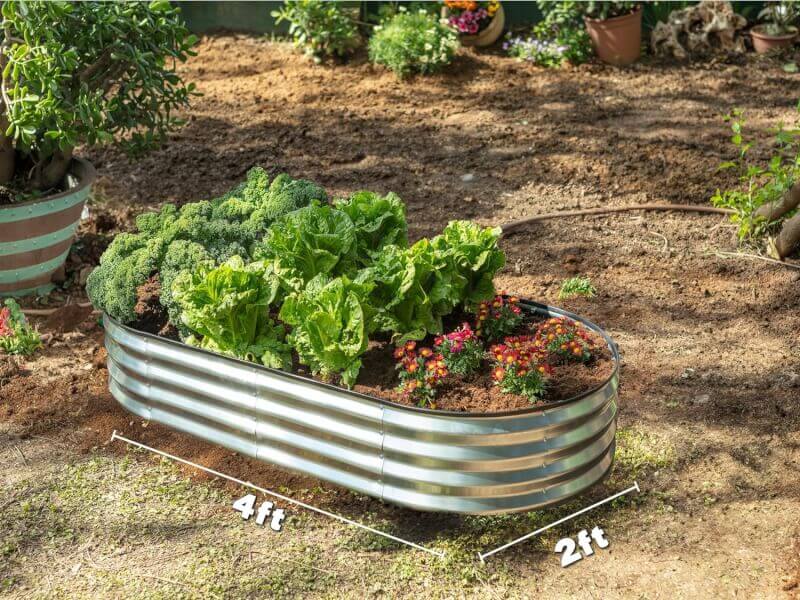 Galvanized Raised Garden Beds Outdoor // 4×2×1 ft (2-Pack) Planter Raised Beds for Gardening, Vegetables, Flowers // Large Metal Garden Box (Silver)