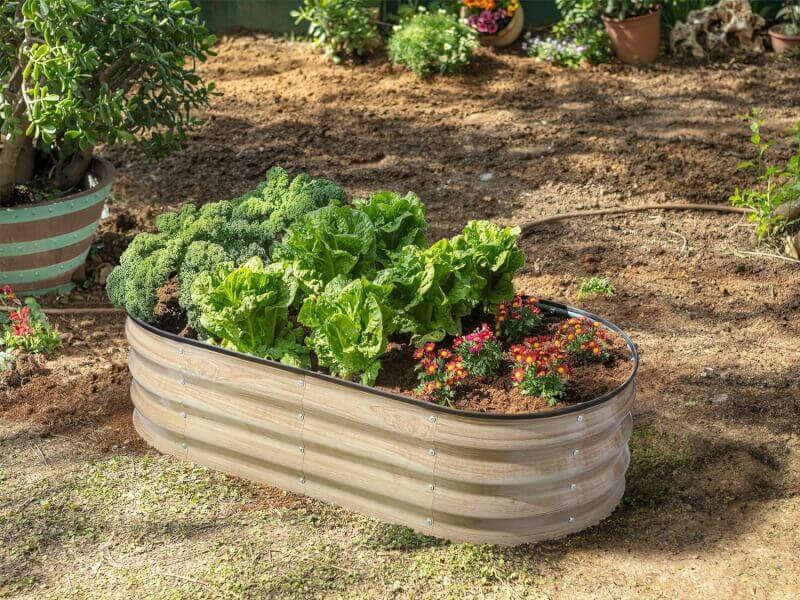 Galvanized Raised Garden Beds Outdoor // 4×2×1 ft (2-Pack) Planter Raised Beds for Gardening, Vegetables, Flowers // Large Metal Garden Box (Silver)