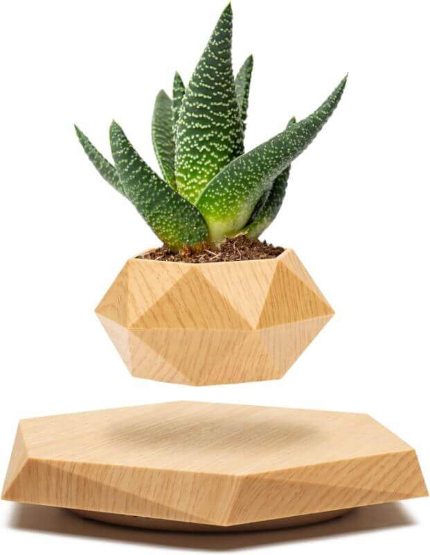 Levitating Plant Pot - Floating Plant Pot for Small Plants. Levitating Decor for Home  Office Magnetic Floating Levitating Display (Wood)