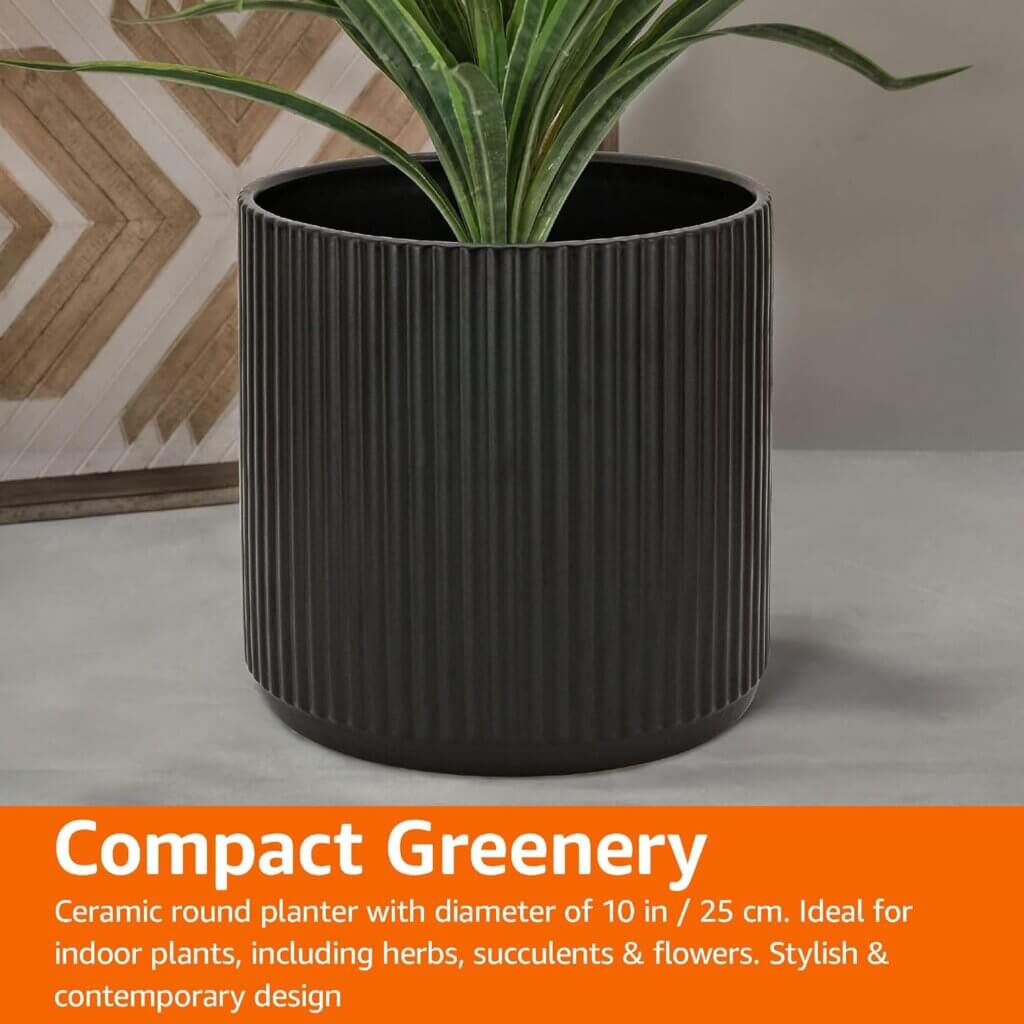 amazon basics ceramic planters set review