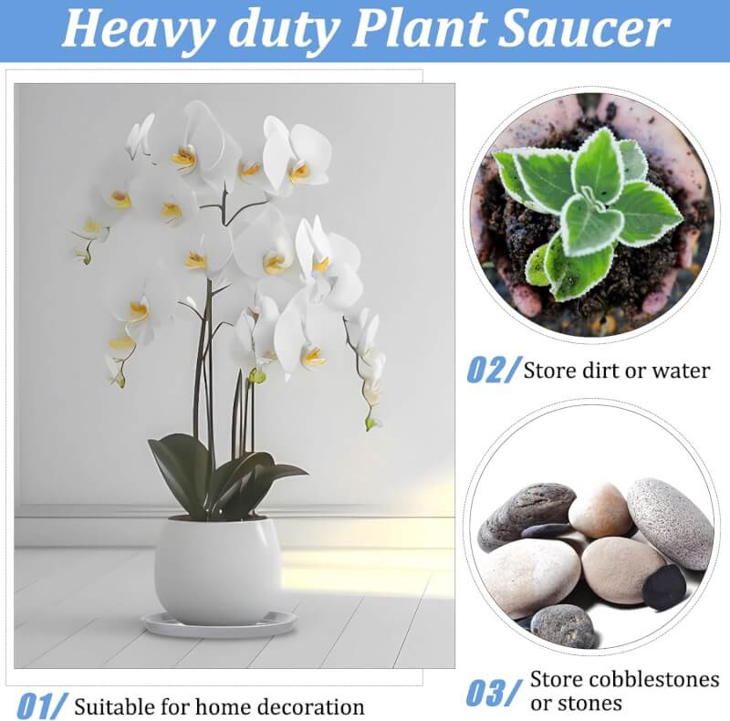 Eccliy 6 Pack Plastic Plant Saucer Heavy Duty Planter Saucers Large Plant Pot Saucers Plastic Water Trays for Indoors and Outdoors Flower Plant Plant Drip (Gray,25 Inch)