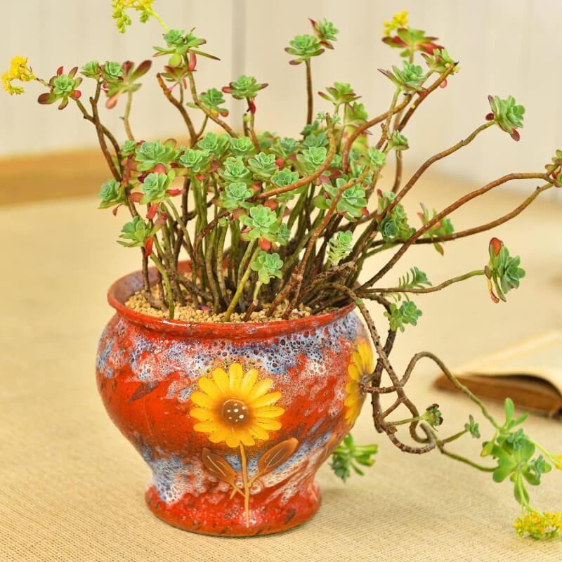 Sungmor Ceramic Hand Painted Succulent Flower Pots, 9 Inch Large Pottery Pots for Indoor Outdoor Plants, Decorative Ceramic Vase for Flower Arrangement Home Decor, Vintage Centerpieces Flowerpot
