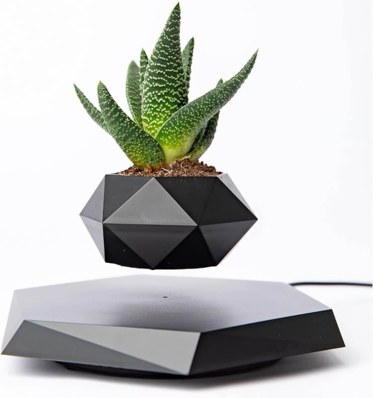 BandD Levitating Plant Pot - Floating Plant Pot for Small Plants. Levitating Decor for Home  Office Magnetic Floating Levitating Display (Black)