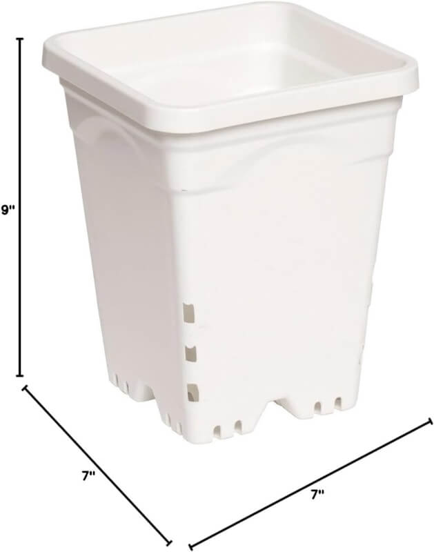 Active Aqua HG9X9SW 9x9 White, 10 Tall, Pack of 24 Square Pot, 9