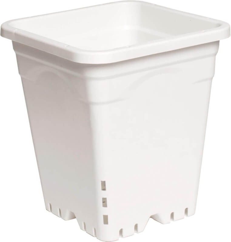 Active Aqua HG9X9SW 9x9 White, 10 Tall, Pack of 24 Square Pot, 9