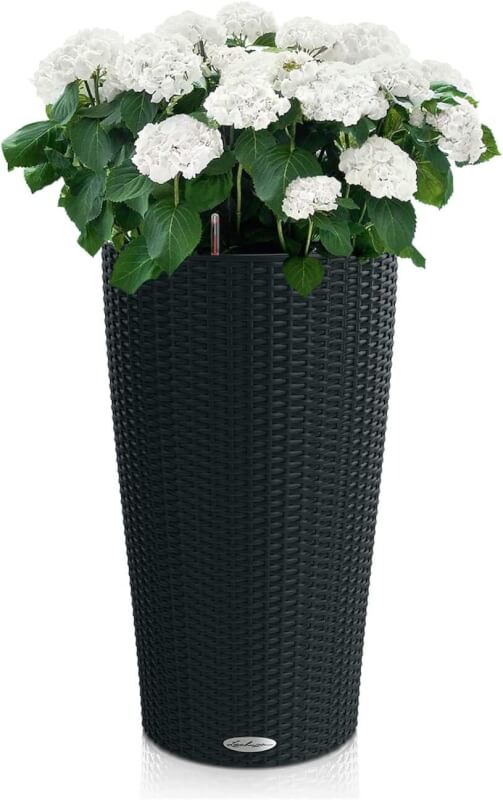 Lechuza 15168 Cilindro Cottage 23 Self-Watering Planter for Indoor and Outdoor Use, 9x 16, Graphite Black