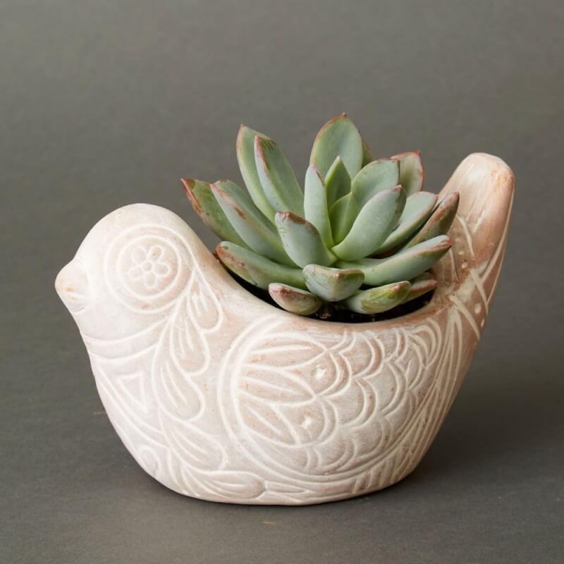 terracotta bird pot set review