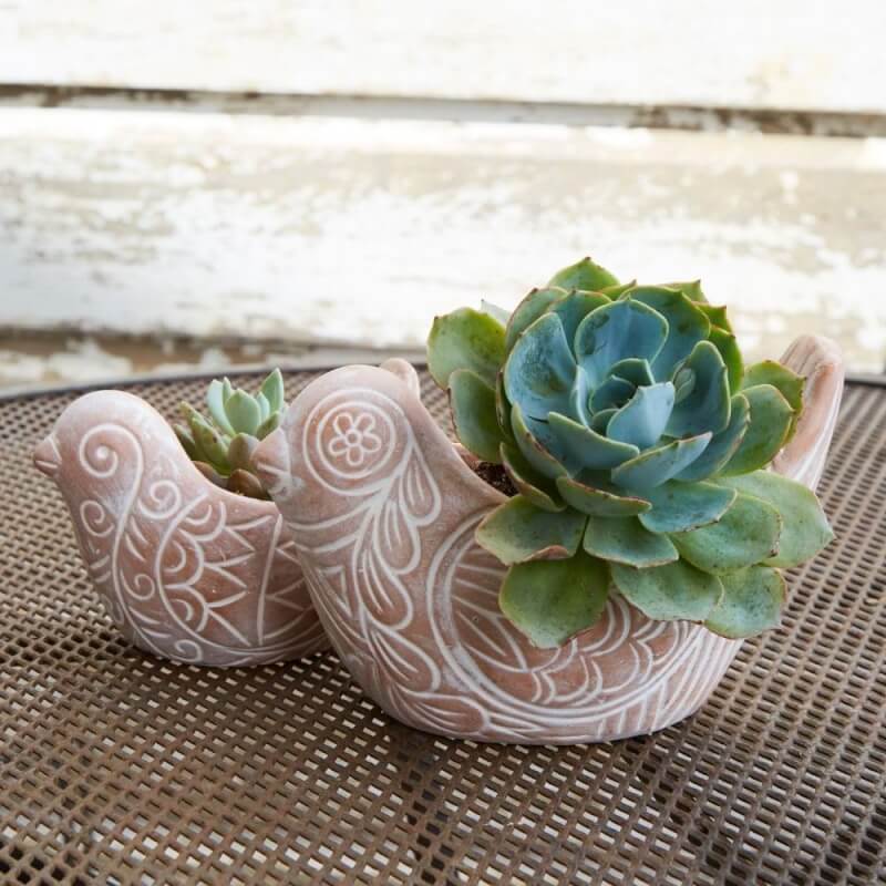 Terracotta Bird Pot Set